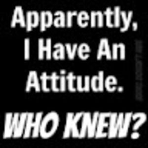 Meet your Posher, Connie